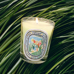 Citronnelle (Lemongrass) Classic Candle